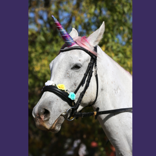 Somedays I just want to be a unicorn